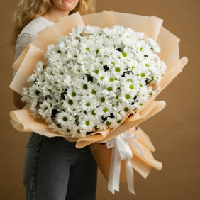 Belek Florist Riesiger Strauß weißer Gänseblümchen