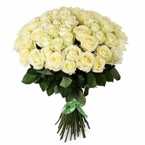  Belek Blumenbestellung White Rose 51 pc