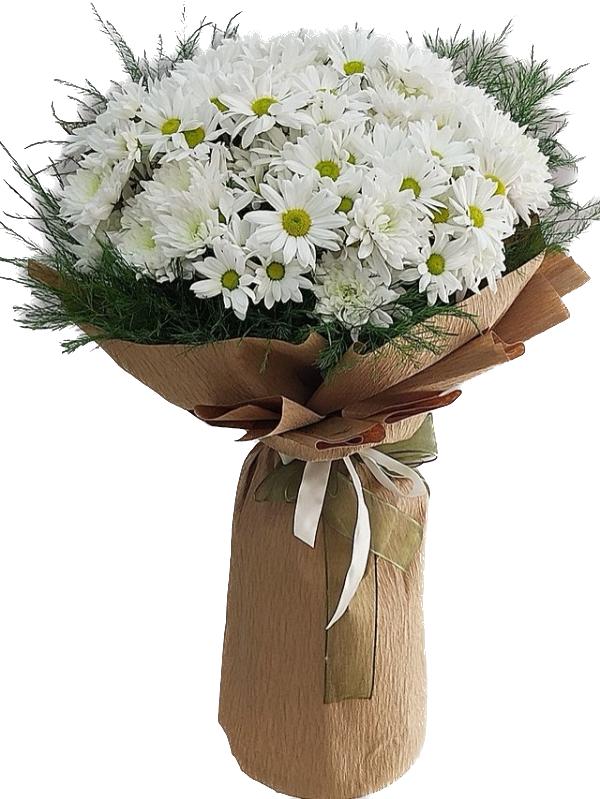  Belek Flower Delivery Daisy Bouquet