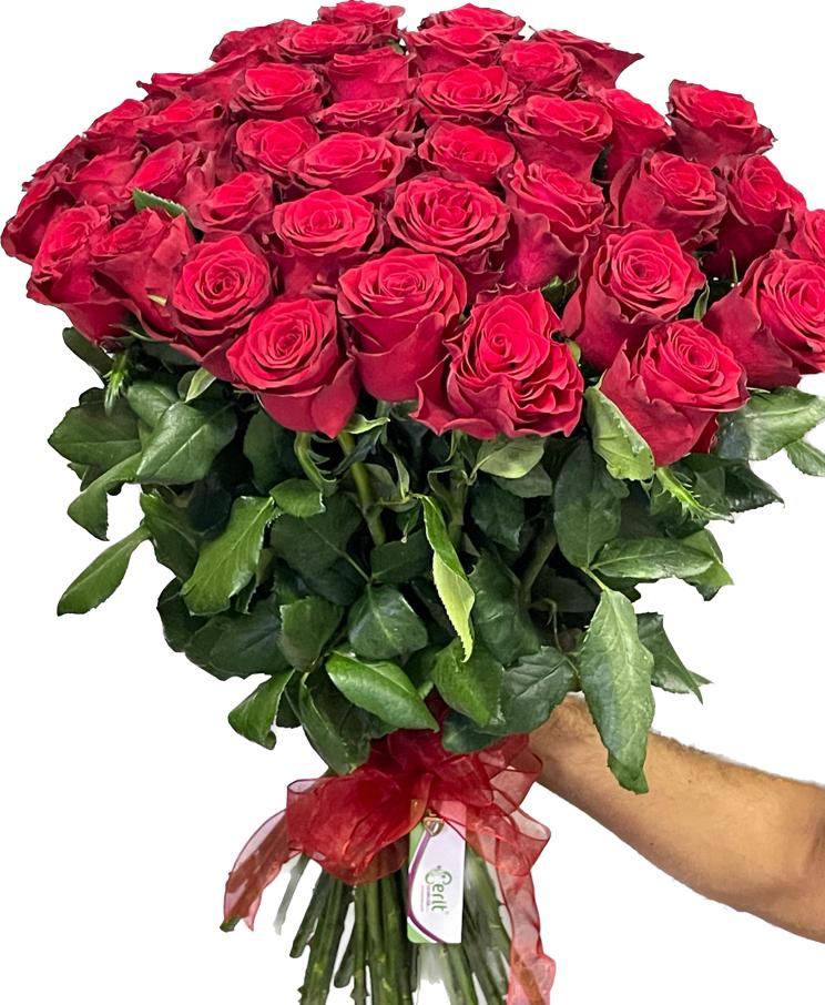  Belek Flower 41 Red Roses 1st class