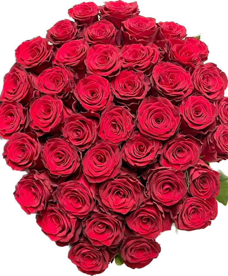  Belek Flower 41 Red Roses 1st class