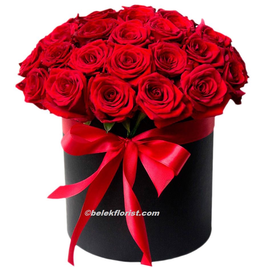  Belek Florist 25 Red Roses in Box