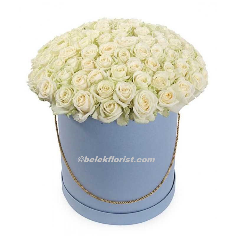  Belek Flower Rose in Box 51pc 