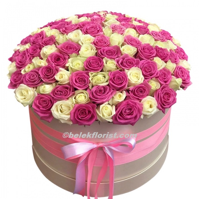  Belek Flower Order Pink White Rose Box 101pcs