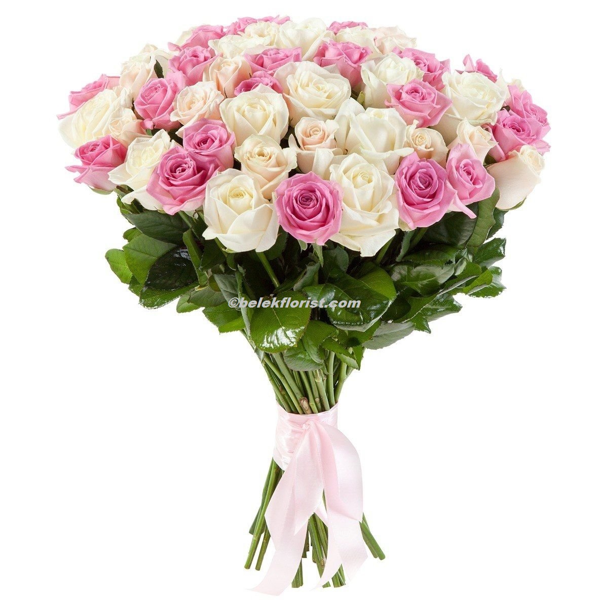  Belek Flower Delivery 51 pcs. Pink white rose