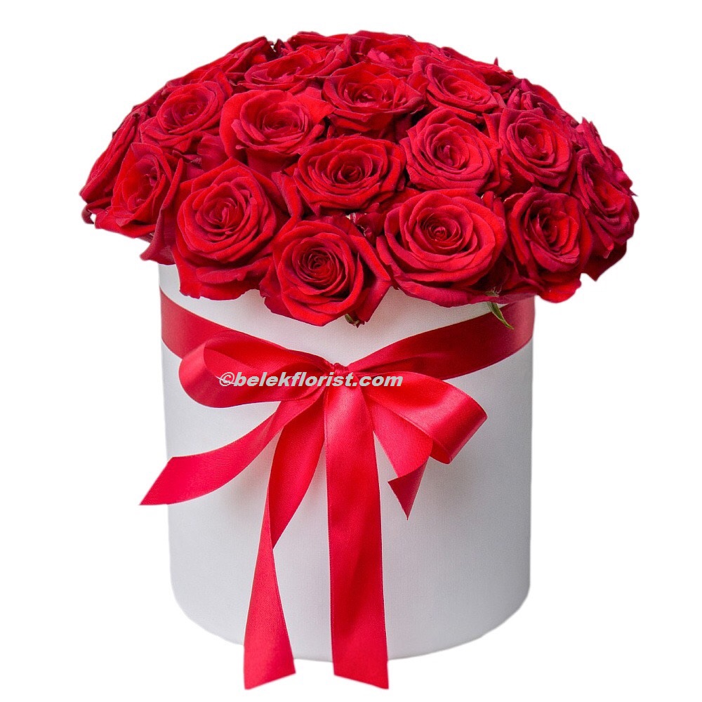 Флорист в Белек  белой коробке 25 красных роз