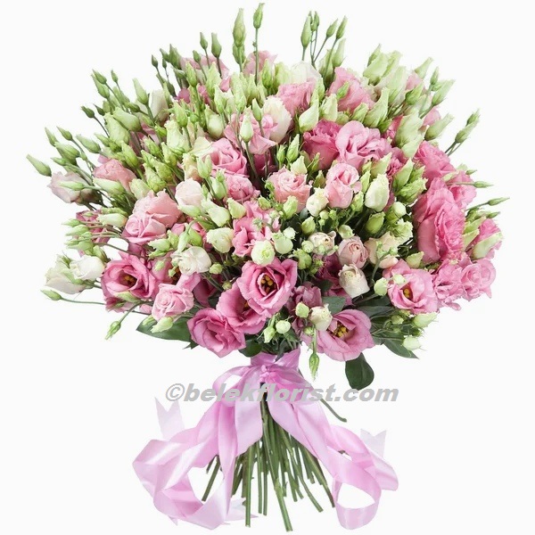 Belek Florist 71pc Pink Lisianthus