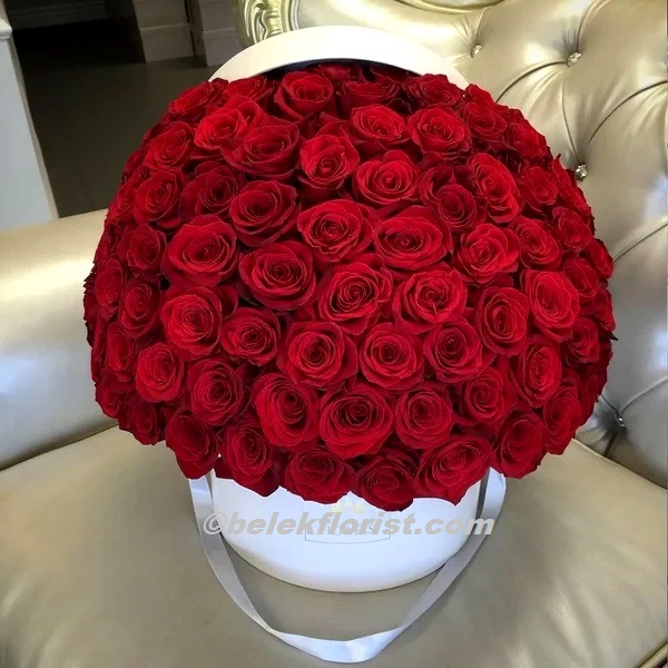 Belek Florist 91 Red Roses in White Box
