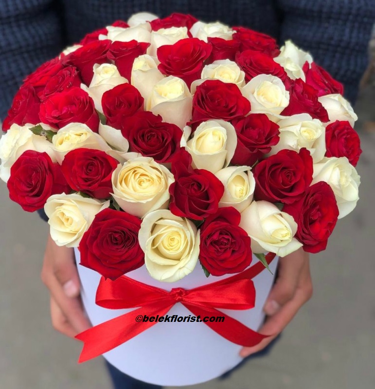 belekflorist.com  flower delivery belek 51 pc Red White Rose in Box 