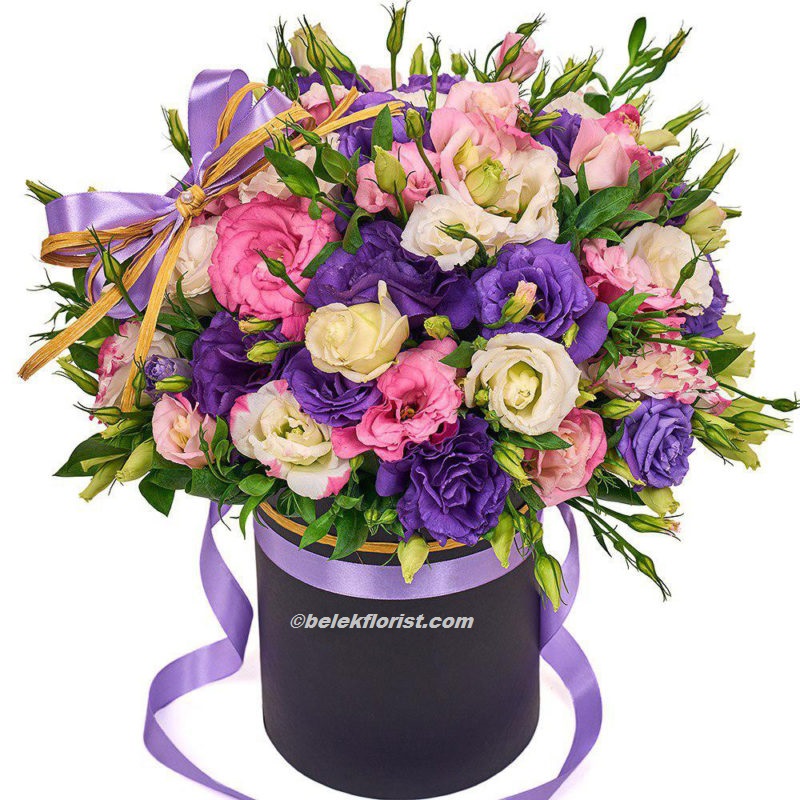 Belek Florist  Colorful Lisyantus Black Box 