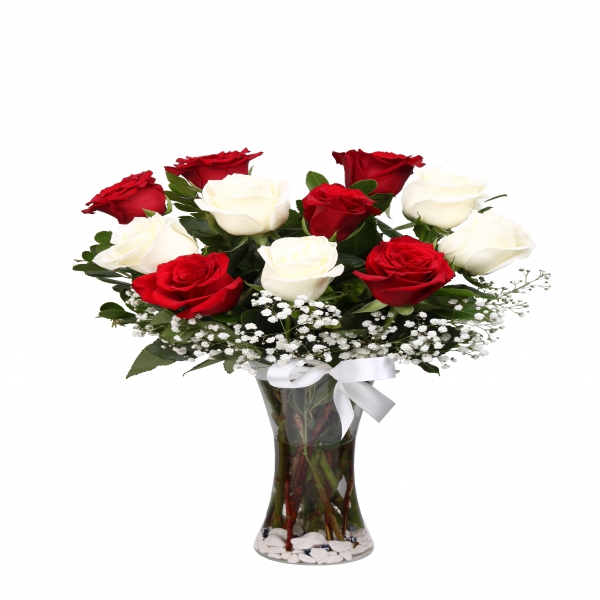  Belek Blumenlieferung 11 Stück Rosen Weiß Rot in Vase