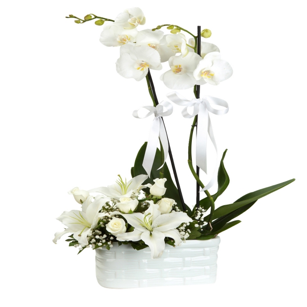  Belek Flower Order Orchid & Lily Rose Arrangement in Ceramic Vase