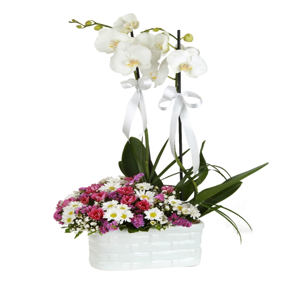  Belek Çiçekçiler Seramik Vazoda Orkide & Mevsim Aranjman