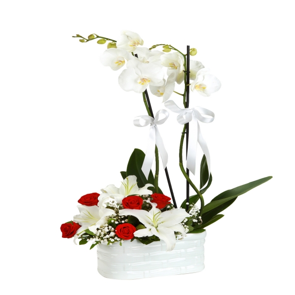 Флорист в Белек  Орхидеи и лилии в керамической вазе