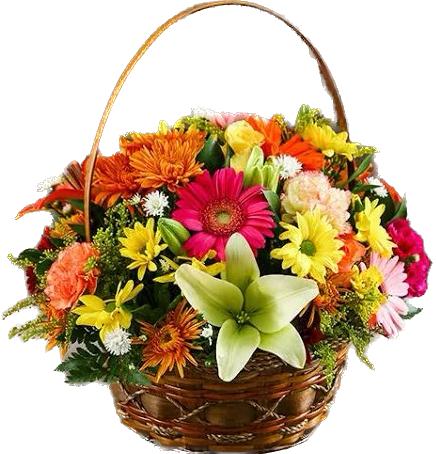  Belek Florist Elegant Arrangement of Gerbera Lilies in a Basket