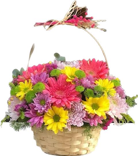  Belek Flower Order Chrysanthemum Daisy Arrangement in Basket