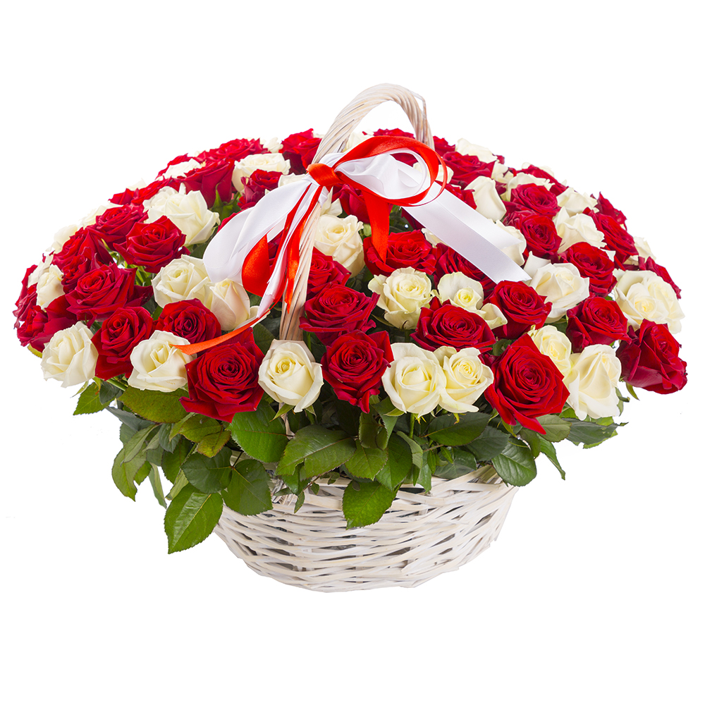  Belek Çiçek Gönder Sepette 101 Adet Beyaz Kırmızı Gül