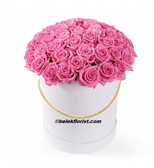 belekflorist.com  flower delivery belek Box 51pc Pink Rose 