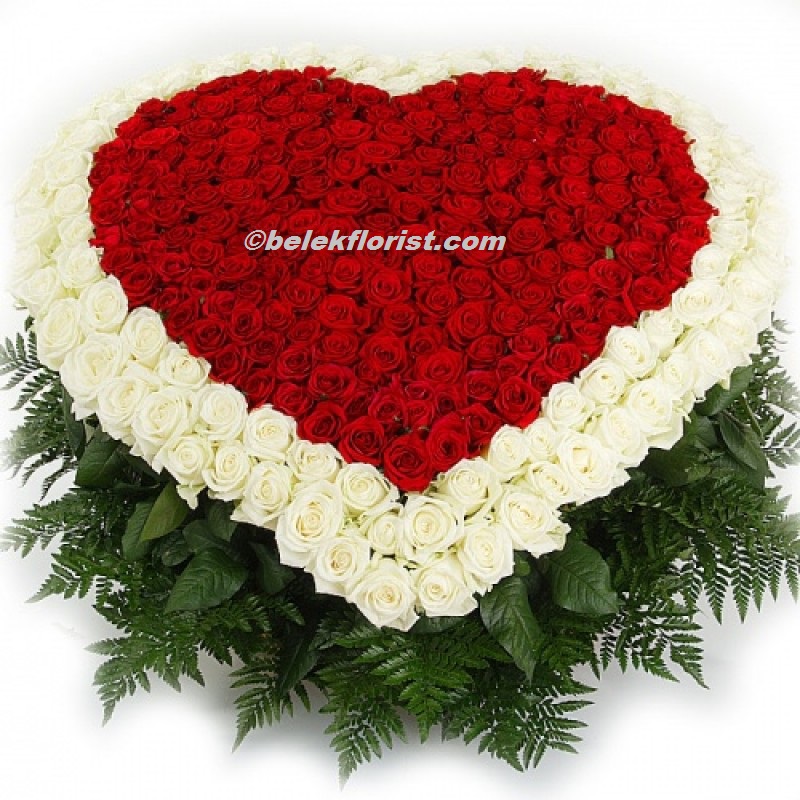  Флорист в Белек 401шт  красная и белая роза в корзине