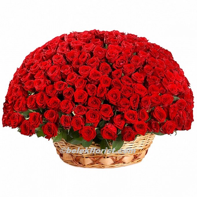  Belek Flower Delivery 251 Red Roses in Basket