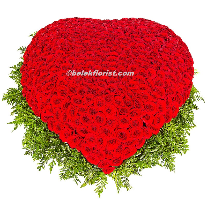 Belek Çiçekçi Sepet 501 Adet Kalp Kırmızı Gül