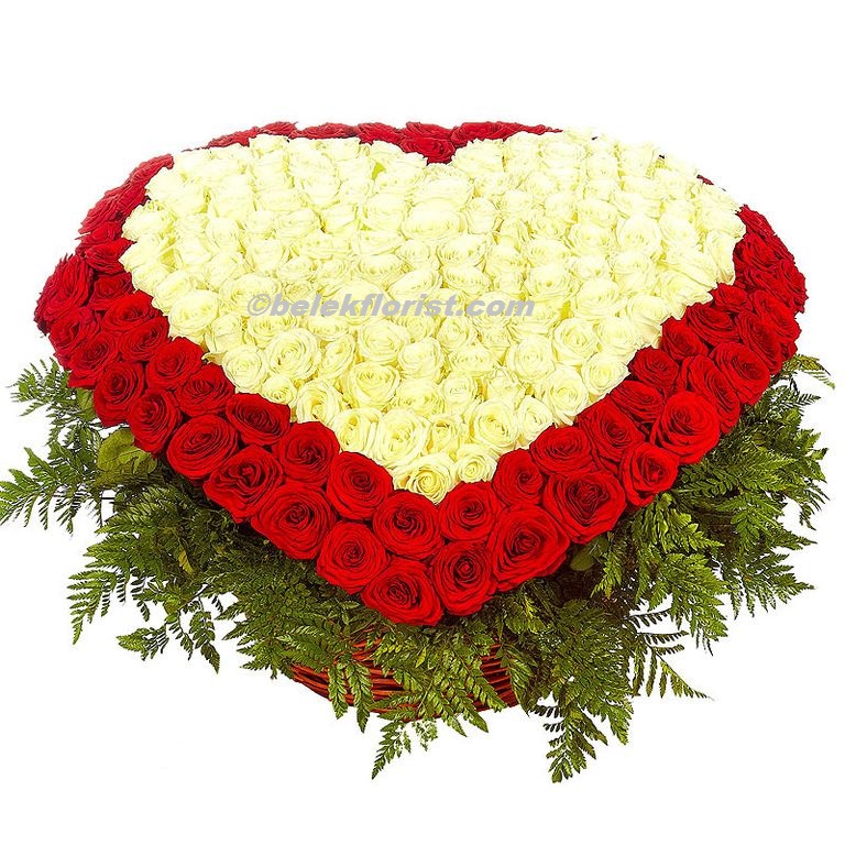  Доставка цветов в Белек  Корзина 501 Красная Белая Роза