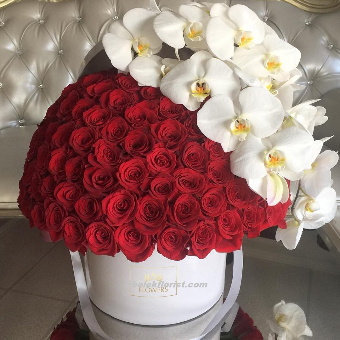  Belek Florist Orkide Red Rose Box