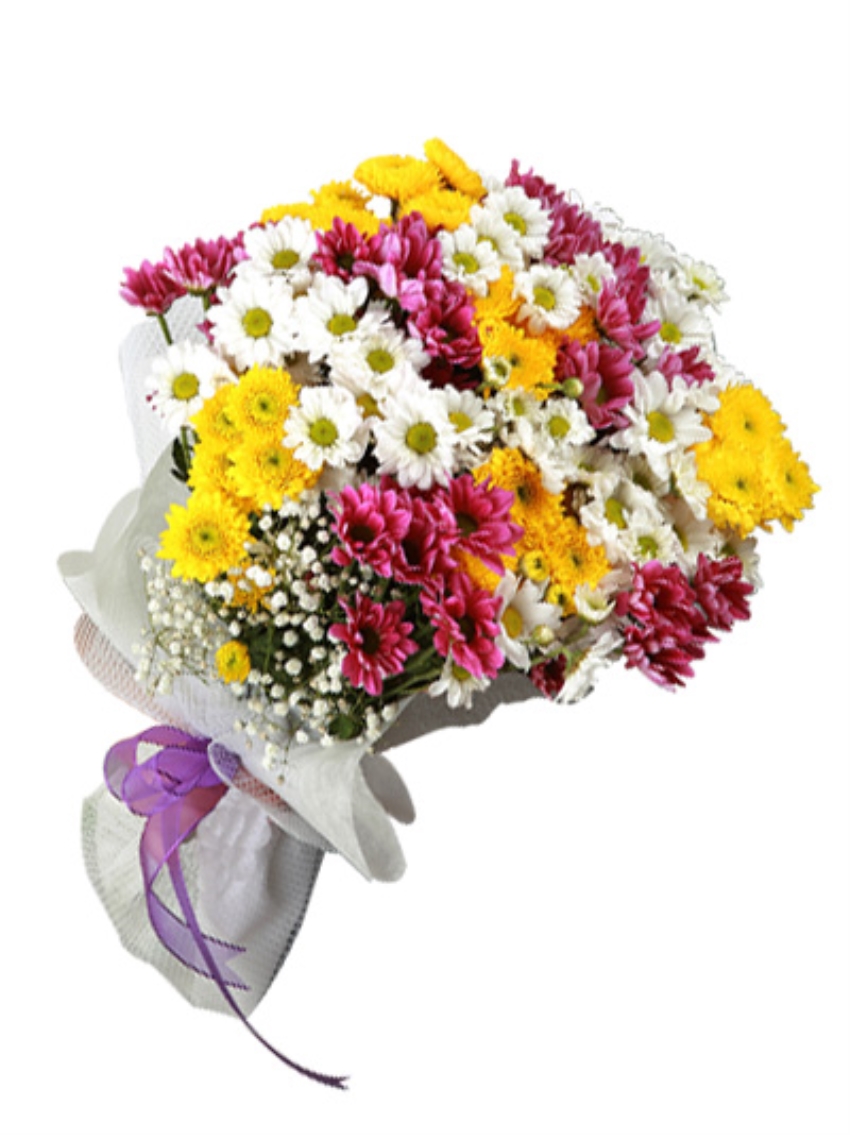  Доставка цветов в Белек  Букет хризантемы 29шт