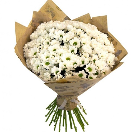  Belek Flower Delivery White Chrysanthemum  Bouquet