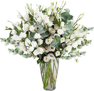  Belek Blumenbestellung 71 pc white Lisyantus Vase