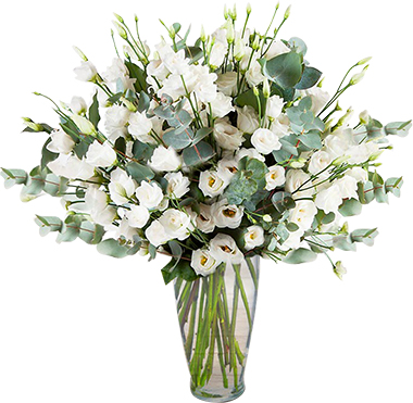  Belek Flower Order 71 pc white Lisyantus Vase